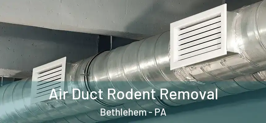 Air Duct Rodent Removal Bethlehem - PA