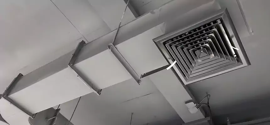 Restorative Allergy Relief Vent Cleaning – Coil, Blower & Housing Detail in Bethlehem