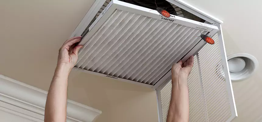 Our Insect Removal from Air Ducts Services in Bethlehem, PA