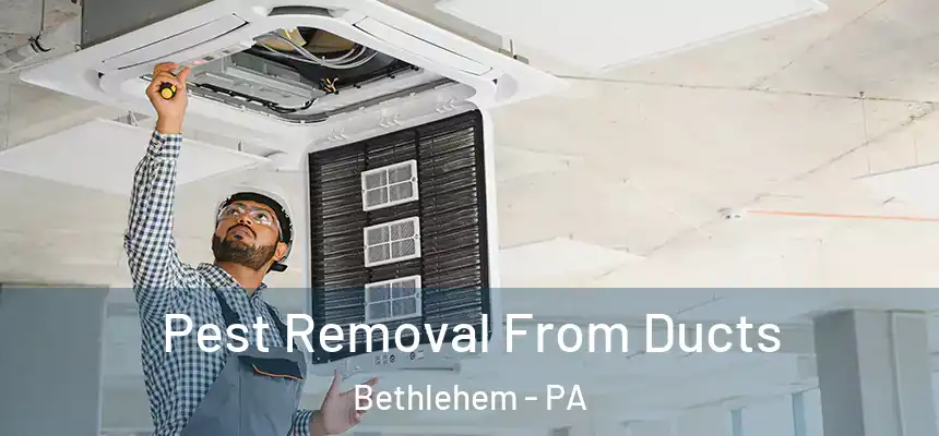 Pest Removal From Ducts Bethlehem - PA