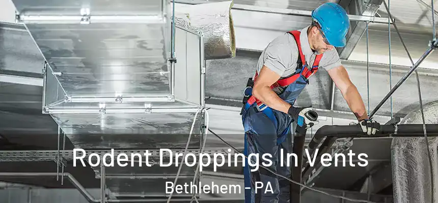 Rodent Droppings In Vents Bethlehem - PA