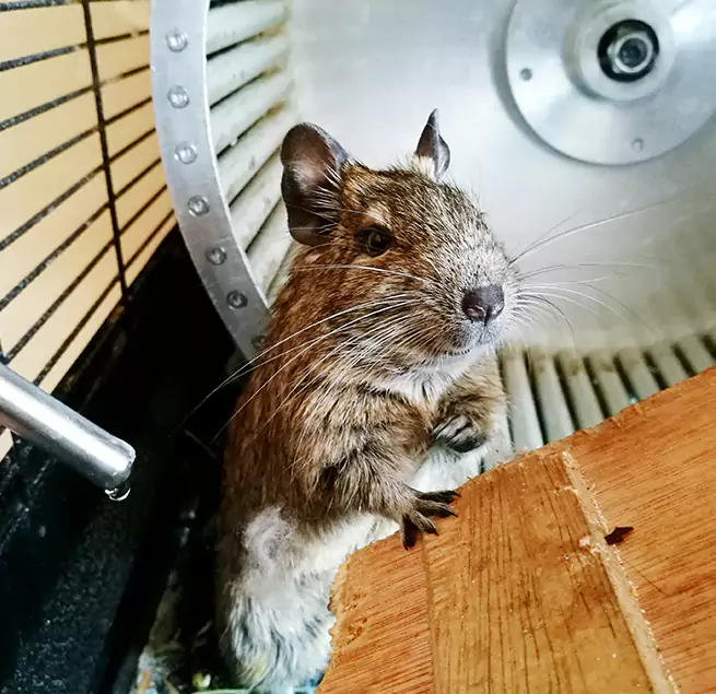 Why Homeowners & Businesses Trust Us Bethlehem, PA?